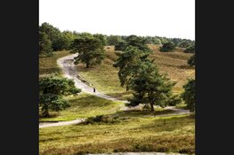 Een nieu­we be­stem­ming voor de Mou­rik Groe­ve in Bruns­sum