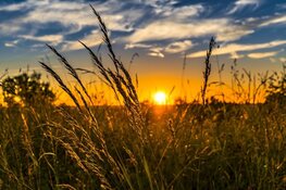 Temperatuur doet stap terug na tropische zondag. Eind van de week verhoogde buienkans
