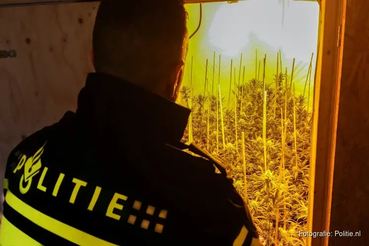 Hennepkwekerij in woning ontdekt na melding onwel wording