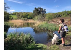 Limburgse maakt oversteek naar Engeland met actie