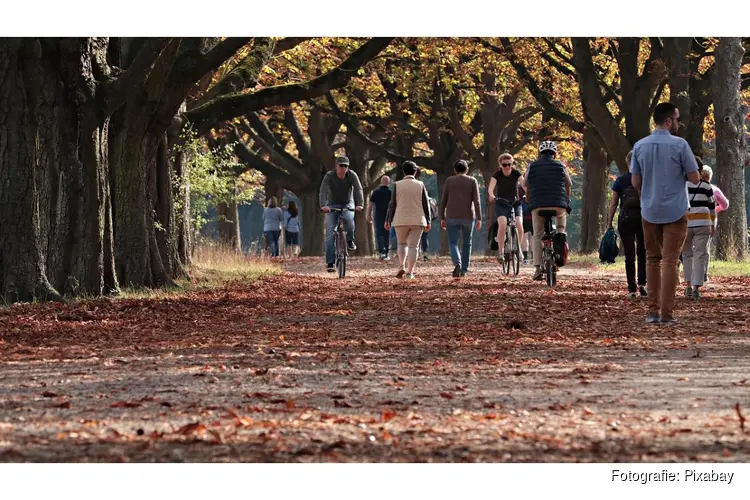 Meteorologische herfst maandag van start