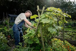 Simon uit Heerlen maakt kans op een ASN Gouden Eekhoorn Award