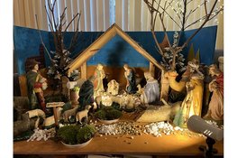 Kribkeswandeling Sjènne 2025