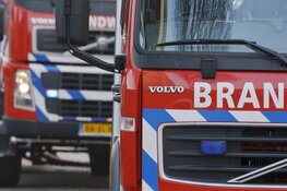 Vier auto's en motor verwoest door brand in Emma Park