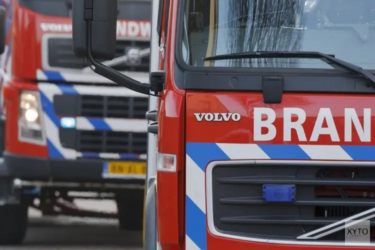 Vier auto's en motor verwoest door brand in Emma Park