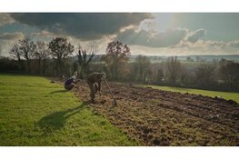 Herstel van graften in het Geuldal versterkt natuur en waterbeheer