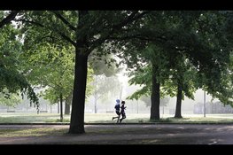 Limburgers op één na minst actief van Nederland