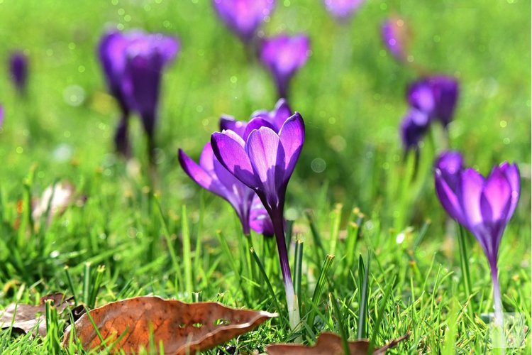 Zachter weer met zonnige perioden, maar temperatuurverschillen blijven