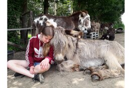 Zorgboerderij Asini viert 10-jarig bestaan