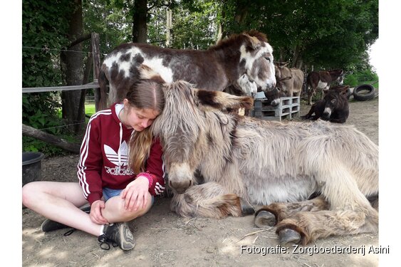 Zorgboerderij Asini viert 10-jarig bestaan