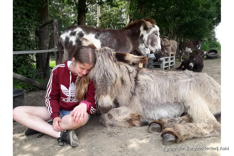 Zorgboerderij Asini viert 10-jarig bestaan