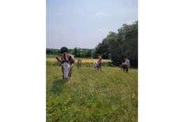 Zorgboerderij Asini viert 10-jarig bestaan