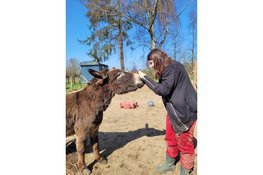 Zorgboerderij Asini viert 10-jarig bestaan