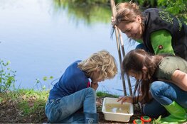 Cursus ‘Jeugdnatuurbegeleider’ bij IVN regio Parkstad