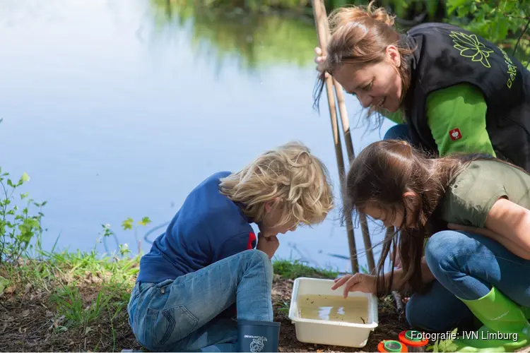 Cursus ‘Jeugdnatuurbegeleider’ bij IVN regio Parkstad