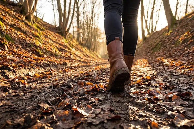 Waarom je in Parkstad in het najaar beter op laarzen loopt